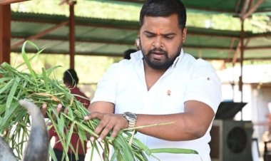 अनूप सिंह चंदेल बने रीवा यूथ कांग्रेस अध्यक्ष