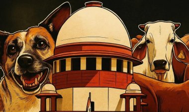 आवारा कुत्तों को लेकर SC का आदेश, स्कूल, कॉलेज, अस्पताल में हटाएं जाएं कुत्ते, नसबंदी कर शेल्टर होम रखें
