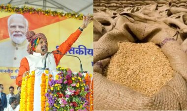 MP में 2600 रुपए क्विंटल MSP पर होगी गेहूं की खरीदी