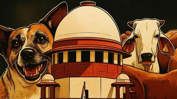 आवारा कुत्तों को लेकर SC का आदेश, स्कूल, कॉलेज, अस्पताल में हटाएं जाएं कुत्ते, नसबंदी कर शेल्टर होम रखें