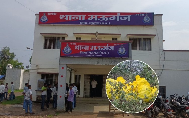 मऊगंज: सिर कटी लाश को लेकर बड़ा खुलासा! ये हत्या नहीं आत्महत्या थी