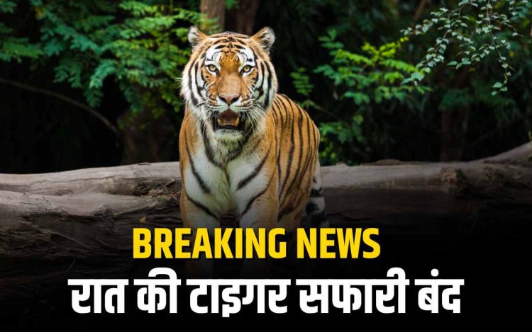सुप्रीम कोर्ट का आदेश: 1 दिसंबर से मध्यप्रदेश में रात की टाइगर सफारी बंद