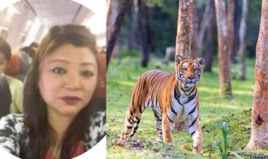 10 साल की तलाश के बाद चीन की अंतरराष्ट्रीय बाघ तस्कर गिरफ्तार, इंडो-चाइना बॉर्डर से दबोची गई