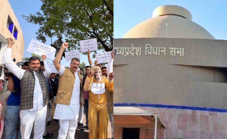 MP विधानसभा सत्र का तीसरा दिन: किसानों के मुद्दे पर विपक्ष का सदन से वॉकआउट