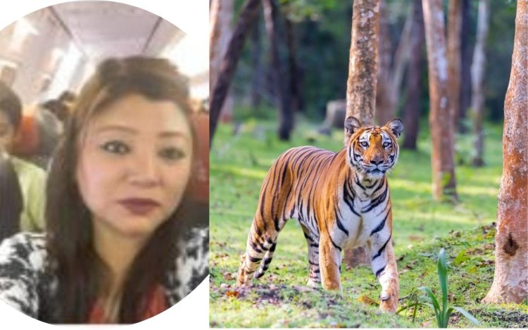 10 साल की तलाश के बाद चीन की अंतरराष्ट्रीय बाघ तस्कर गिरफ्तार, इंडो-चाइना बॉर्डर से दबोची गई