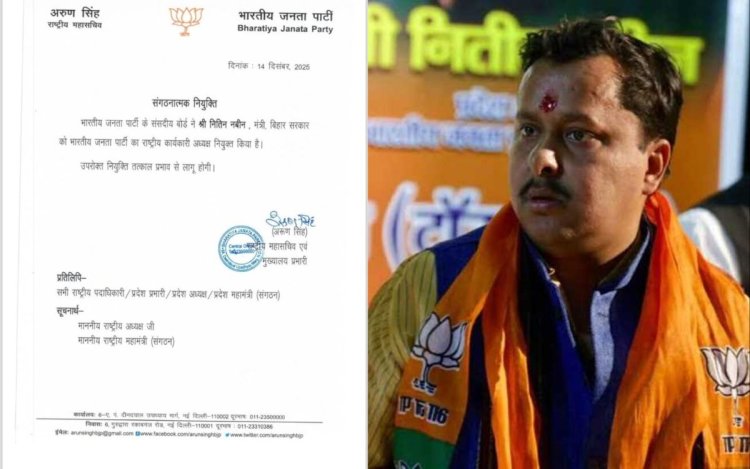 नितिन नबीन बने बीजेपी के राष्ट्रीय कार्यकारी अध्यक्ष, नए अध्यक्ष के चुनाव तक संभालेंगे कार्यभार