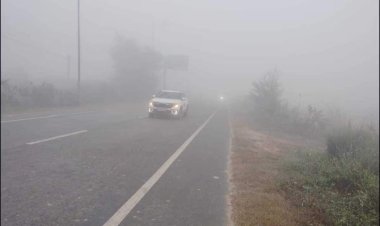 MP में कड़ाके की ठंड: पारा लुढ़का,भोपाल में 20 मीटर विजिबिलिटी