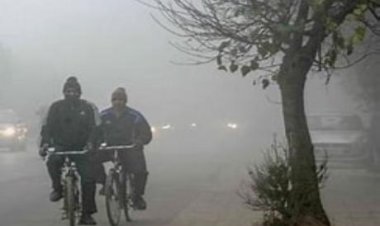 MP में ठंड का कहर, भोपाल में 10 साल की सबसे सर्द जनवरी