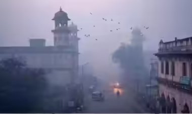 MP में ठंड की लहर: 25 जनवरी से 2-3 डिग्री गिरेगा पारा