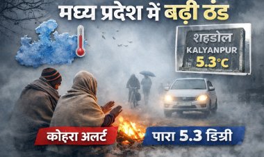 मध्य प्रदेश में फिर लौटी ठंड, कई जिलों में घना कोहरे का अलर्ट