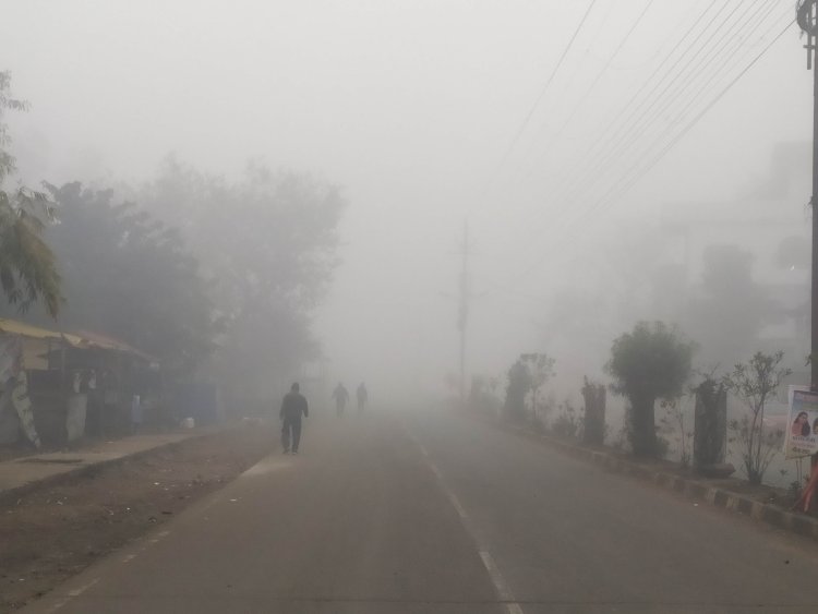 MP में पहली बार सबसे घना कोहरा, सर्द हवाओं का कहर, IMD ने जारी किया अलर्ट