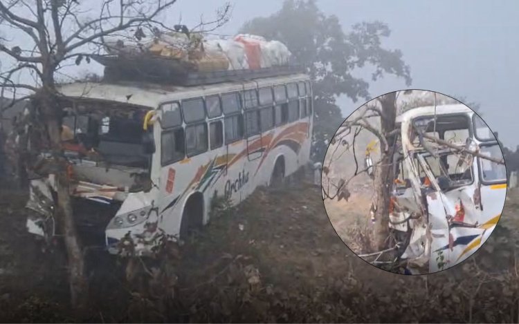 छतरपुर: घना कोहरा बना सड़क हादसे का कारण, यात्री बस पेड़ से टकराई, 11 घायल