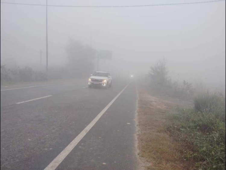 MP में कड़ाके की ठंड: पारा लुढ़का,भोपाल में 20 मीटर विजिबिलिटी