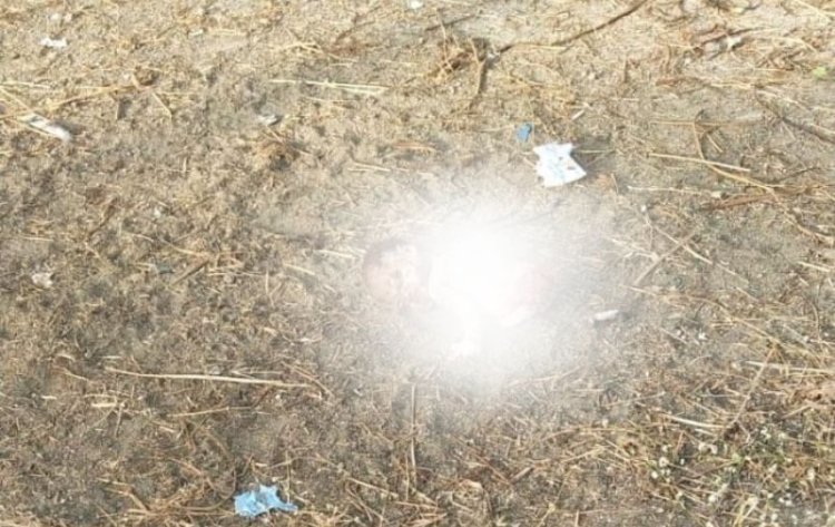 शहडोल मेडिकल कॉलेज परिसर में मिला नवजात का क्षत-विक्षत शव, कुत्तों ने बनाया निवाला