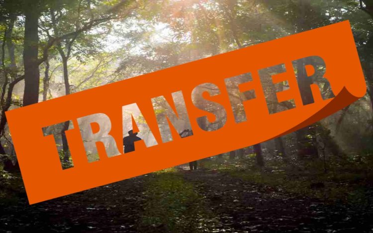 मध्य प्रदेश वन विभाग में बड़ा प्रशासनिक फेरबदल, 28 IFS और 20 राज्य वन सेवा अधिकारियों के तबादले