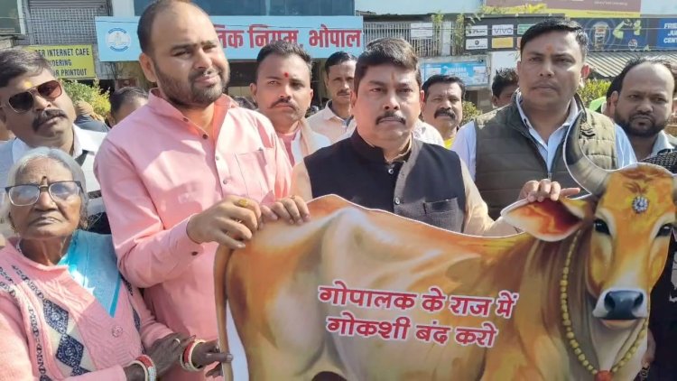 गोमांस तस्करी पर कांग्रेस ने उठाए सवाल, ठेकेदार और अधिकारियों पर कार्रवाई की मांग