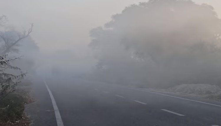 मध्यप्रदेश में कड़ाके की ठंड का कहर, खजुराहो सबसे ठंडा, 15 जिलों में कोहरा और कोल्ड डे अलर्ट