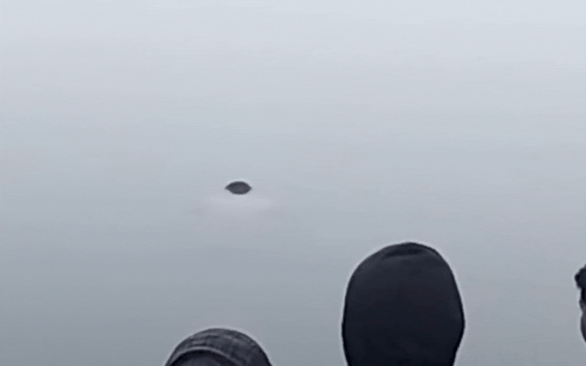 मऊगंज: तालाब में मिली युवक की लाश, चार दिन पहले हुआ था गायब, क्षेत्र में मचा हड़कंप