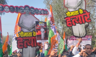 गोमांस और गंदे पानी को लेकर कांग्रेस का प्रदर्शन: निगम का दफ्तर घेरा, महापौर का रावण रूपी पुतला फूंका