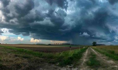 वेस्टर्न डिस्टरबेंस से बदला मौसम का मिजाज, 18-19 फरवरी को MP के कई जिलों में बारिश के आसार