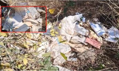 जंगल में मिली MPEB की महत्वपूर्ण फाइलें