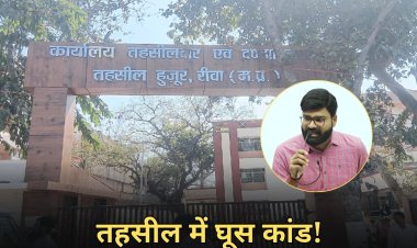 तहसीलदार शिव शंकर शुक्ला पर नामांतरण के बदले प्लॉट लेने का आरोप, कार्रवाई की मांग तेज