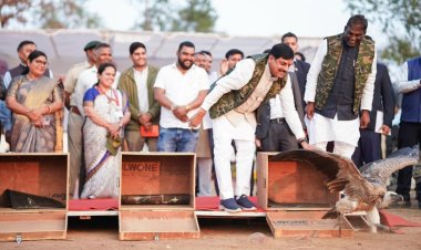 MP CM डॉ. मोहन यादव ने हलाली डैम में 5 दुर्लभ गिद्धों को किया मुक्त