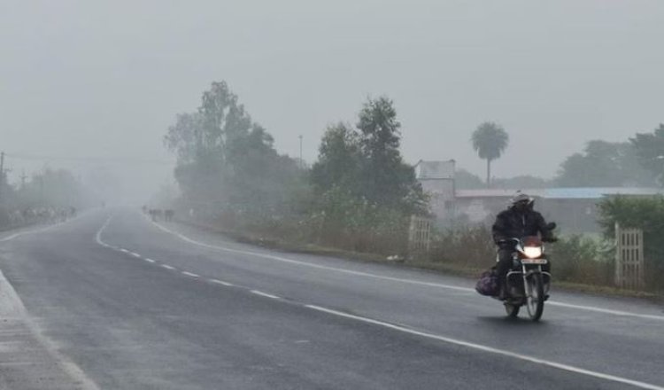 बारिश और ठंडी हवाओं से MP में बढ़ी ठंड, कई जिलों में कोहरे का असर