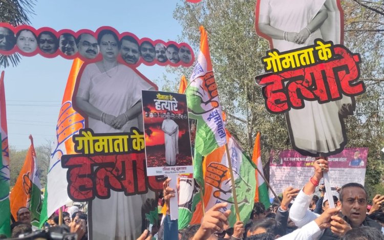 गोमांस और गंदे पानी को लेकर कांग्रेस का प्रदर्शन: निगम का दफ्तर घेरा, महापौर का रावण रूपी पुतला फूंका