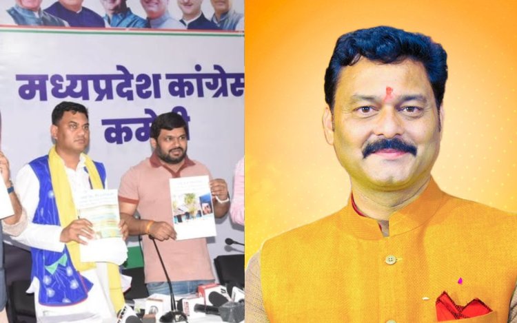 डॉ. हीरालाल अलावा ने प्रेस वार्ता कर पूर्व मंत्री संजय पाठक पर लगाया करोड़ों आरोप