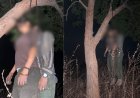 प्रेमी जोड़े ने फांसी लगाकर की खुदकुशी, पेड़ पर लटके मिले शव