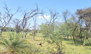 बड़ा तालाब में अतिक्रमण पर फिर सख्ती, छोटे निशाने पर, बड़े अब भी सुरक्षित