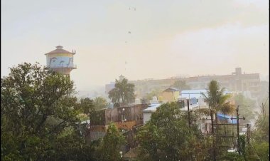 MP में आंधी-बारिश का अलर्ट: 18 मार्च तक कई जिलों में गरज-चमक के साथ बरसात, कई शहरों में पारा 37 डिग्री पार