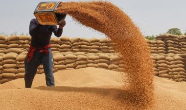 MP में 1 अप्रैल से गेहूं खरीदी शुरू, इस बार किसानों को मिलेगा बोनस का लाभ