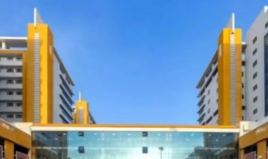 Bhopal हमीदिया अस्पताल में लापरवाही ,चल रही थीं नवजात की सांसें, दे दिया डेथ सर्टिफिकेट