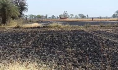 खेत में लगी आग, पकी गेहूं की फसल जलकर राख, लाखों का नुकसान