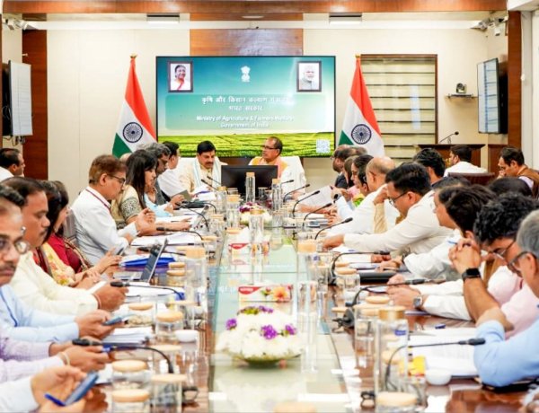 सरसों भावांतर भुगतान योजना को केंद्र की मंजूरी, तुअर की 100% सरकारी खरीदी का रास्ता साफ