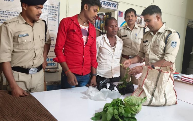 झोले में सब्जी, सब्जी के अंदर शराब, शराब तस्करी का नया तरीका