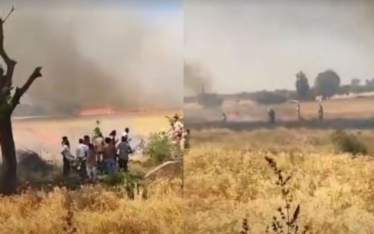 हरदा: 50 एकड़ गेहूं की फसल में आग, जांच में जुटी पुलिस