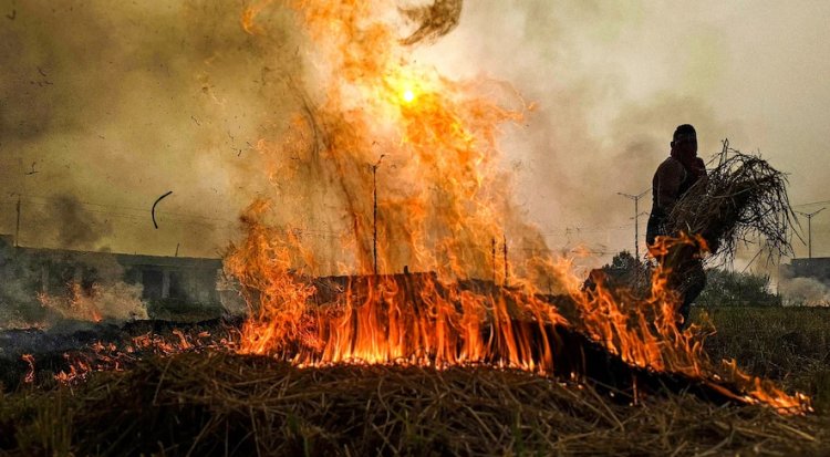 भोपाल में पराली जलाने पर 3 महीने की रोक, उल्लंघन पर होगी FIR