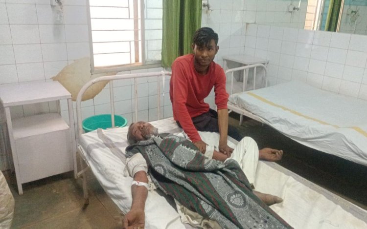 मऊगंज में वृद्ध किसान पर मधुमक्खियों ने किया हमला, हालत गंभीर