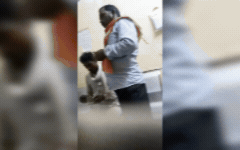 खनिज विभाग में रिश्वत कांड, महिला कर्मचारी का वीडियो वायरल, प्रभारी अधिकारी पर भी उठे सवाल