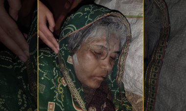 सीने में स्टेप्लर लगा कर बुजुर्ग महिला को चलती कार से फेंका, हालत गंभीर