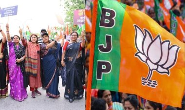 CG News: महिला आरक्षण बिल गिरने के खिलाफ विरोध तेज, प्रदेशभर में आयोजित हो रहा जनआक्रोश महिला सम्मेलन