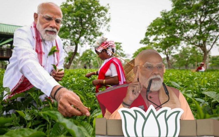 मोदी बोले- कांग्रेस के 'राजकुमार' की हार की सेंचुरी पक्की, असम में भाजपा लगाएगी जीत की हैट्रिक