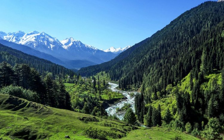 Pahalgam Attack: लगभग एक साल बाद लौटी रौनक, सुरक्षा के लिए QR कोड ट्रैकिंग सिस्टम लागू