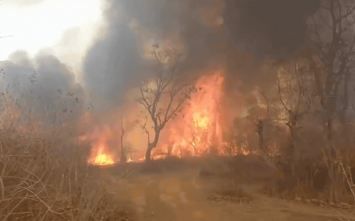 7 घंटे तक धधकता रहा देवलहा का जंगल 20 हेक्टेयर क्षेत्र जलकर खाक