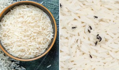 चावल में नहीं लगेंगे घुन और कीड़े,  बस डिब्बे में डाल दें ये  घरेलू चीजें…