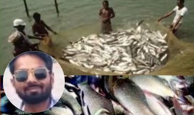 MP के बांधों में मछली उत्पादन घोटाला, नियमों को ताक पर रख किया जा रहा करोड़ों का खेल