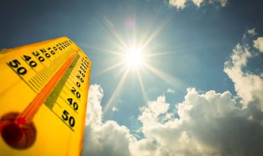 IMD ने जारी किया हीटवेव अलर्ट: MP-UP, राजस्थान समेत 6 राज्यों में पारा 46° पार, 24 मई तक भीषण गर्मी जारी